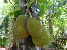 Классический пример, когда вас развели на деньги, но вы остались счастливы!