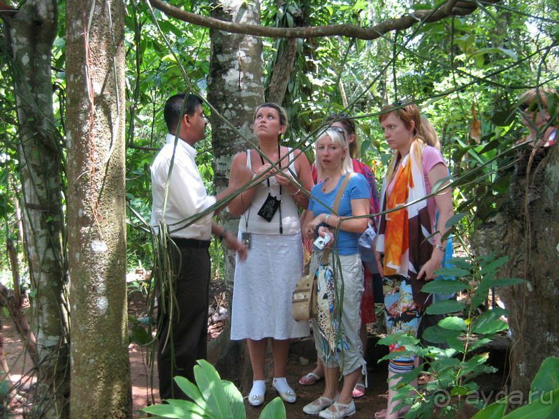 Классический пример, когда вас развели на деньги, но вы остались счастливы!