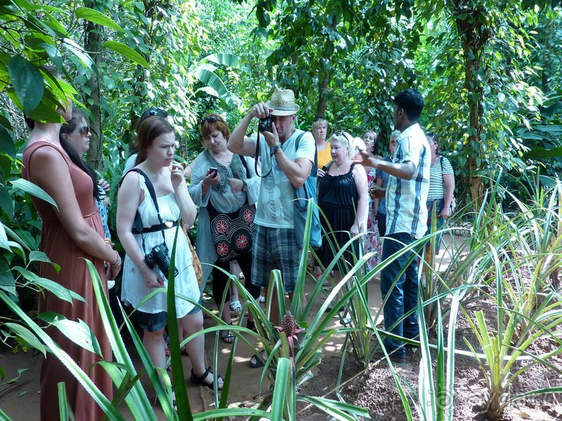 Классический пример, когда вас развели на деньги, но вы остались счастливы!
