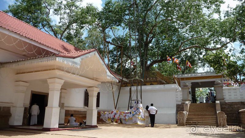 Анурадхапура - святой город!