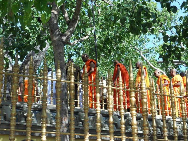 Альбом отзыва 