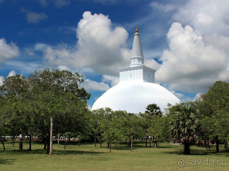 Альбом отзыва 