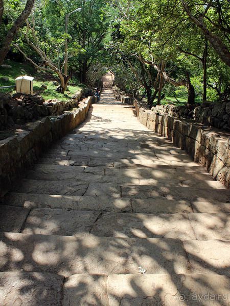 Альбом отзыва 