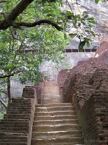 Сигирия - львиная скала! Сигирия - львиная скала!