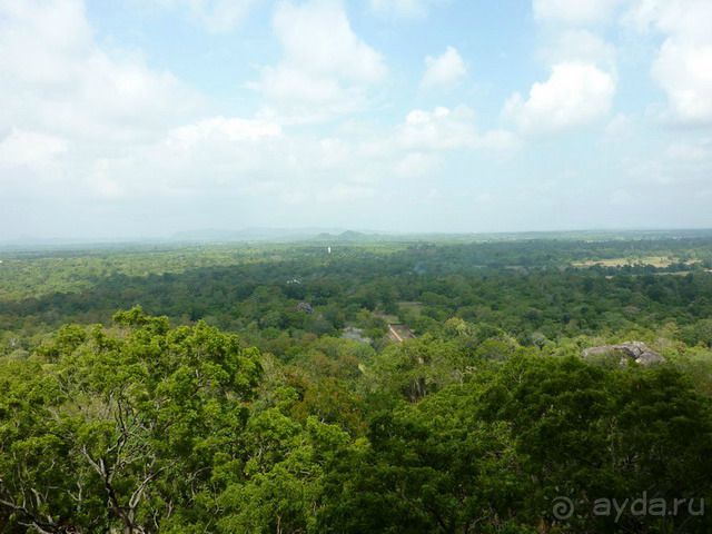 Сигирия - львиная скала! Сигирия - львиная скала!