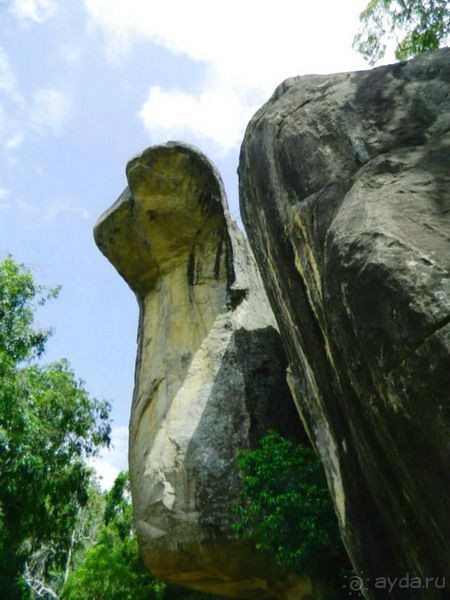 Сигирия - львиная скала!