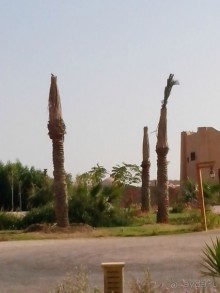 фото Laguna Beach Resort