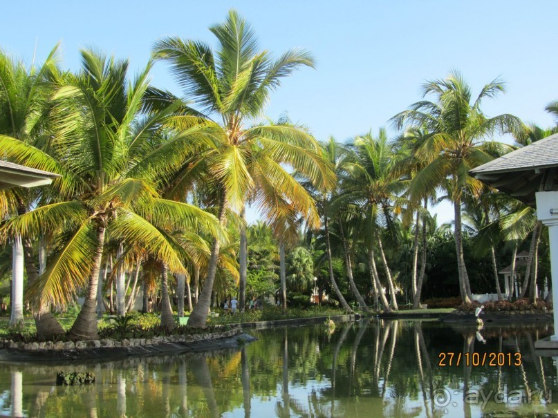 По опросу отдыхающих других отелей - у нас было лучше