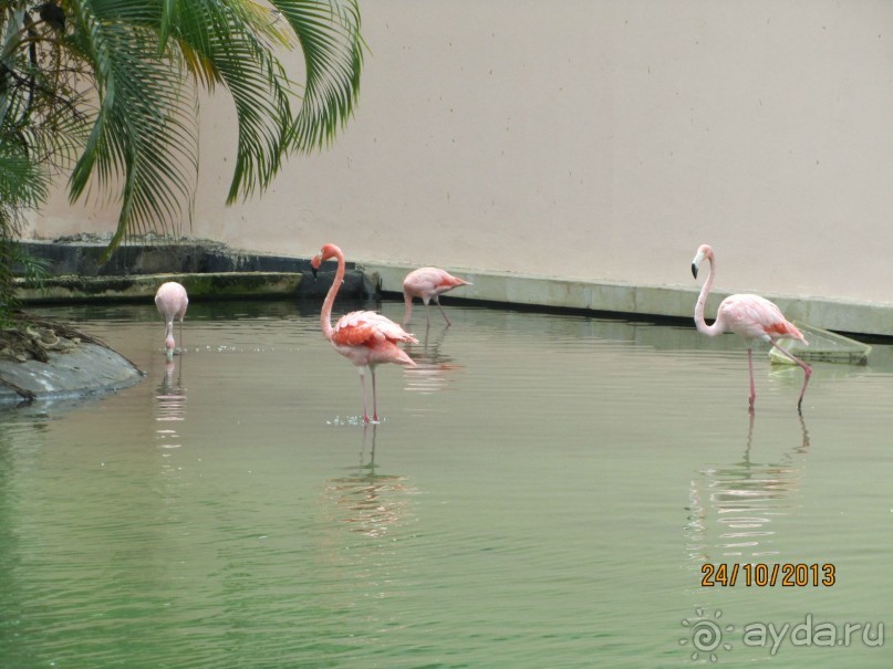 По опросу отдыхающих других отелей - у нас было лучше