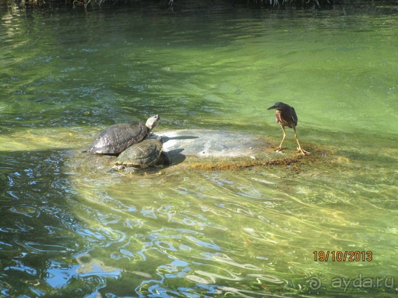 По опросу отдыхающих других отелей - у нас было лучше