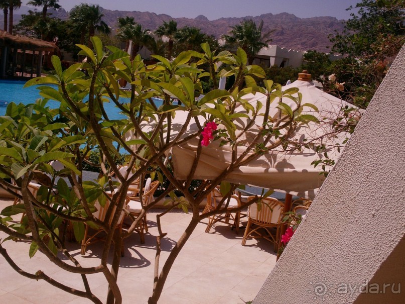 Отель в Лагуне