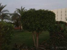 Сам отдых понравился