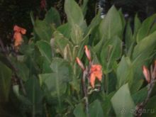 Сам отдых понравился