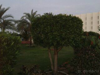 Сам отдых понравился