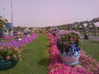 Сам отдых понравился