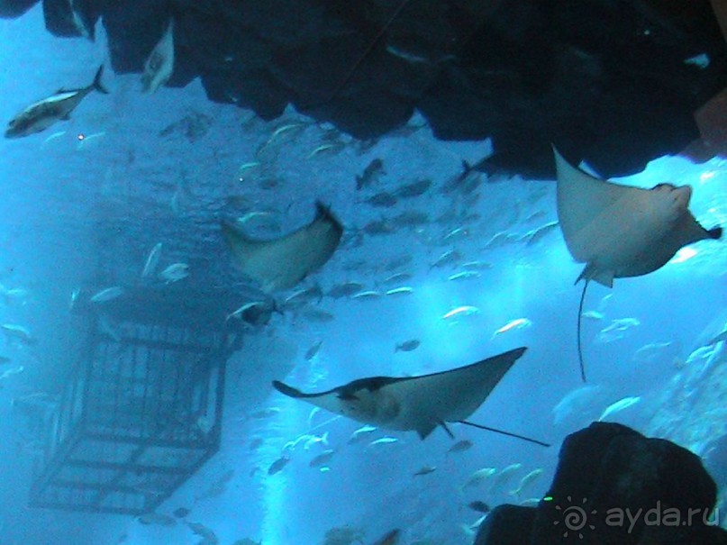 Релаксирующий отдых,но очень маленький