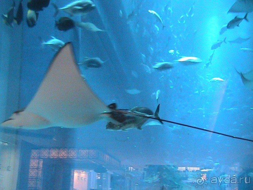 Релаксирующий отдых,но очень маленький