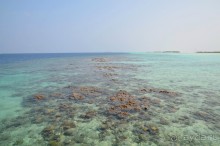 фото Fun Island Resort & Spa