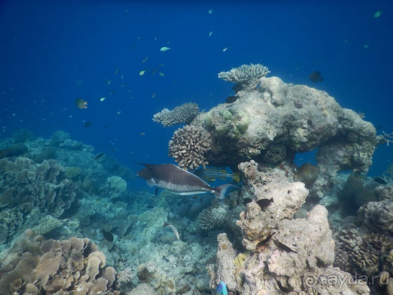 Мальдивы – райское наслаждение!