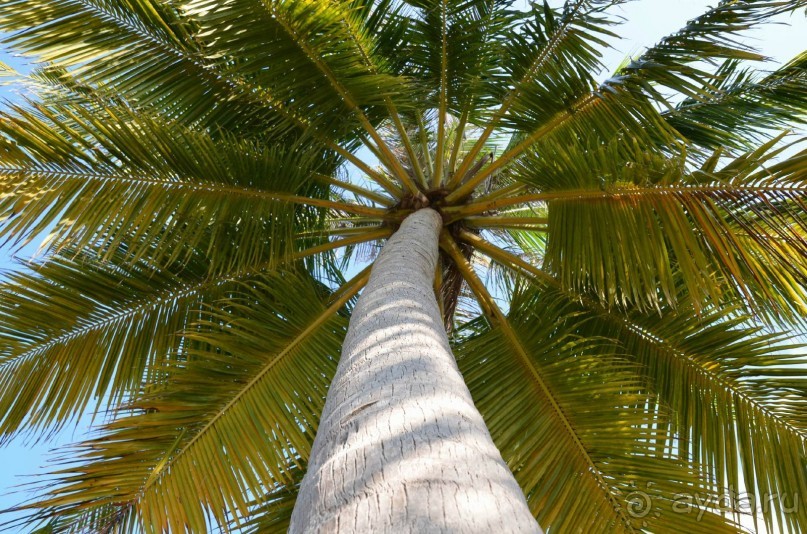 Мальдивы – райское наслаждение!