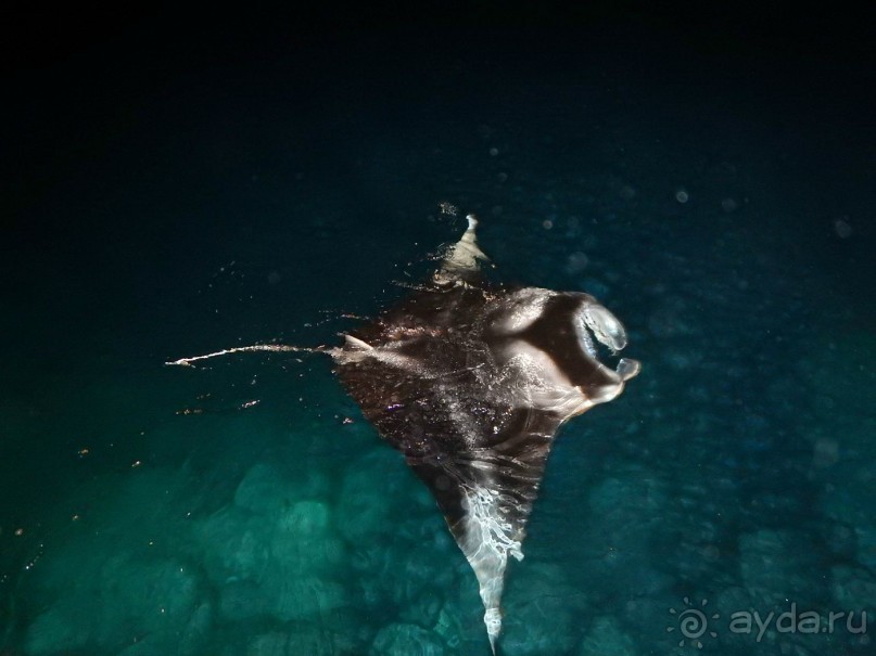 Мальдивы – райское наслаждение!