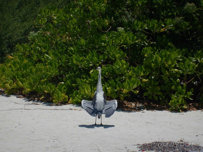 Мальдивы – райское наслаждение!