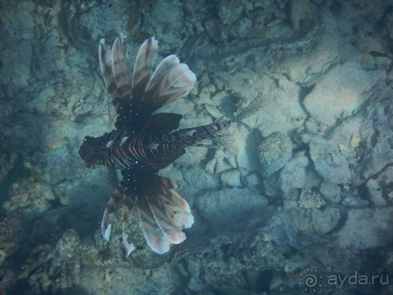 Мальдивы – райское наслаждение!