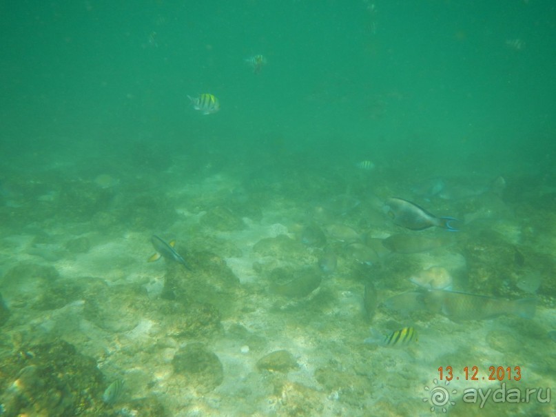 Дубай - величие впечатляет!