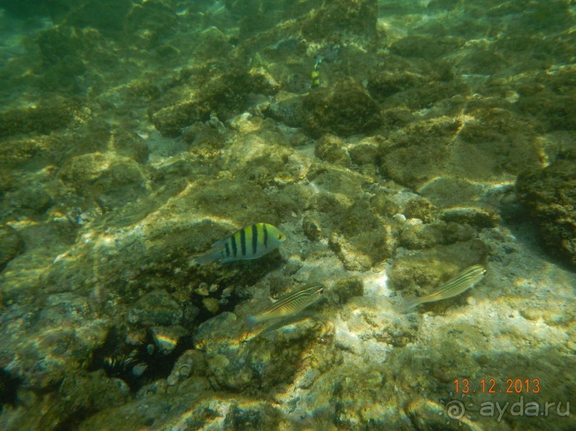 Дубай - величие впечатляет!