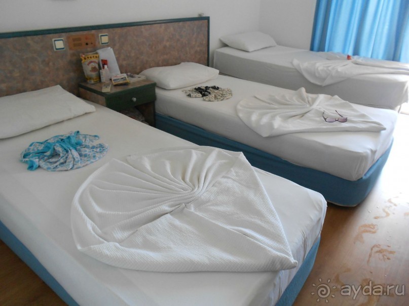 Отличный отель!!!