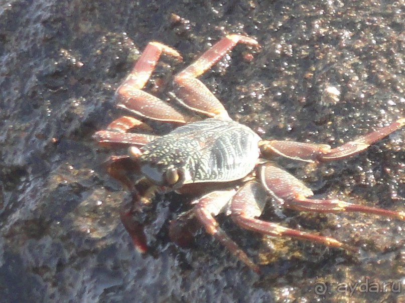 Лучший отдых-оптимистам!!!