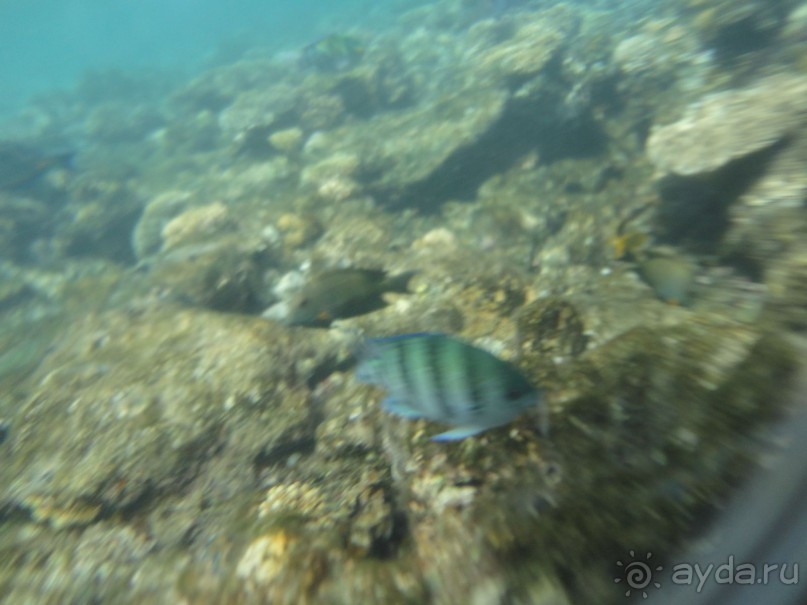 Лучший отдых-оптимистам!!!