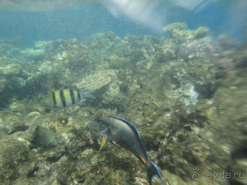 Лучший отдых-оптимистам!!!