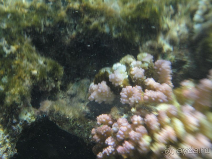 Лучший отдых-оптимистам!!!