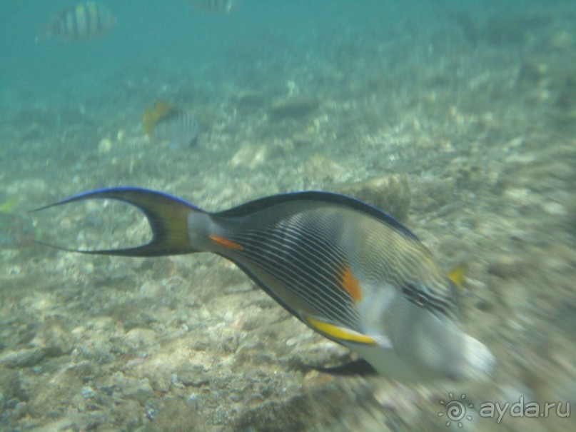 Лучший отдых-оптимистам!!!