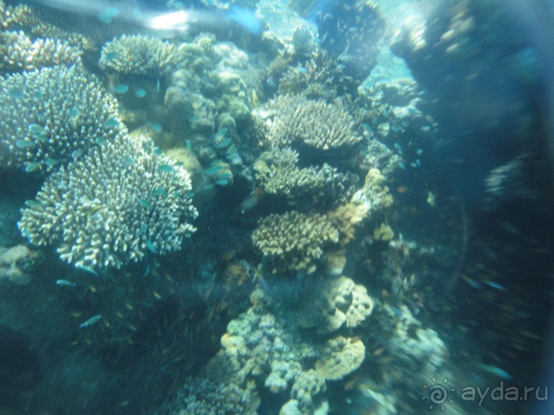 Лучший отдых-оптимистам!!!