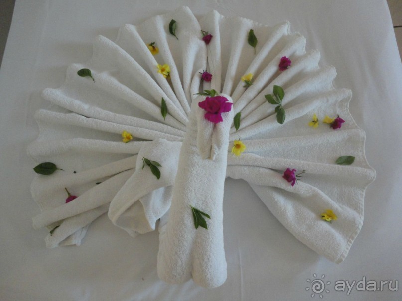 Лучший отдых-оптимистам!!!