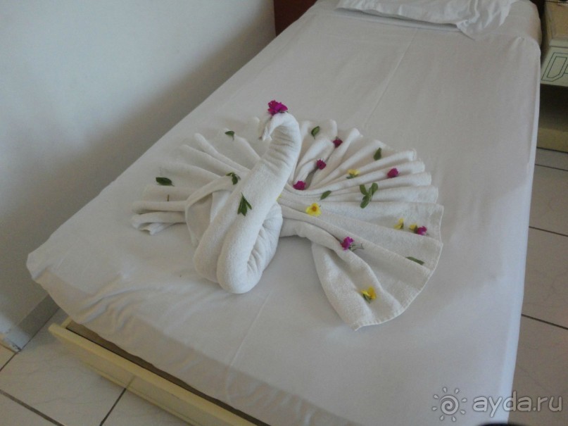 Лучший отдых-оптимистам!!!