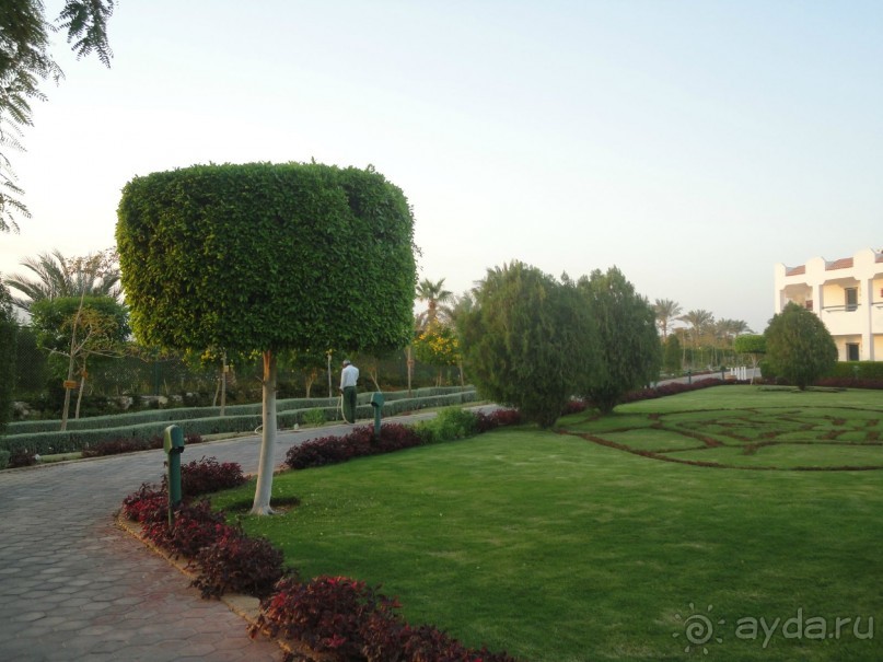 Лучший отдых-оптимистам!!!