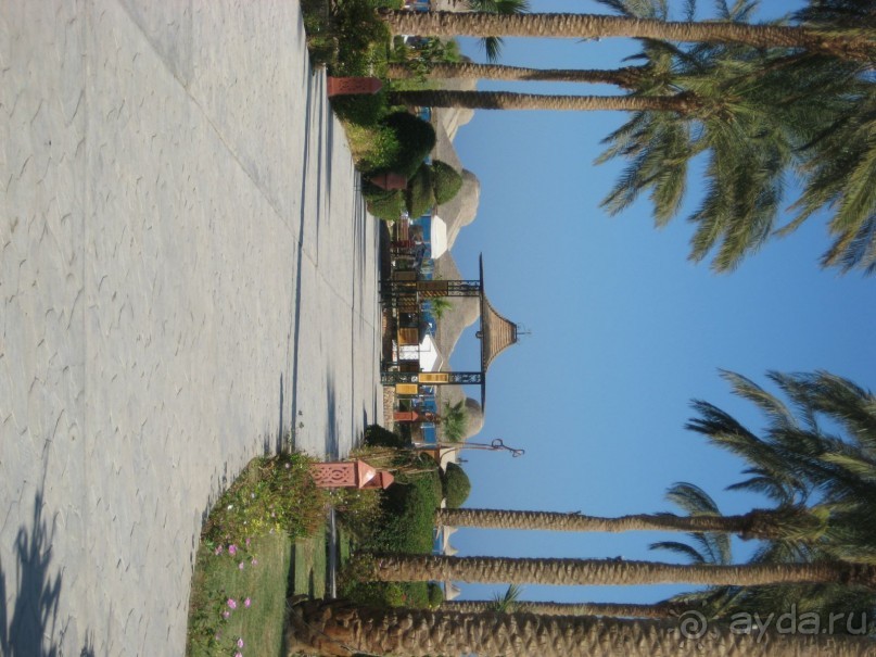 фото Ali Baba Palace