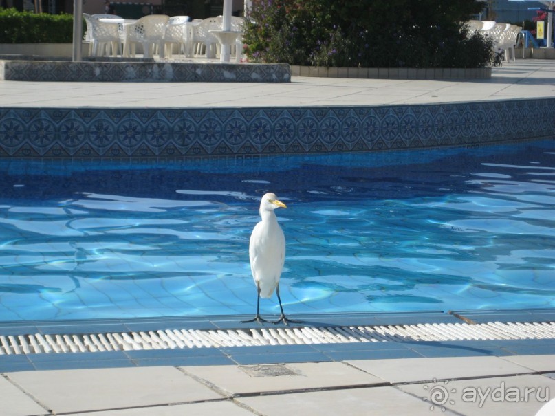 фото Ali Baba Palace