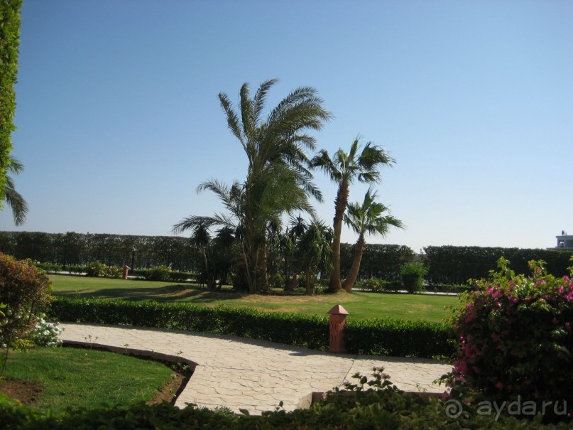 фото Ali Baba Palace