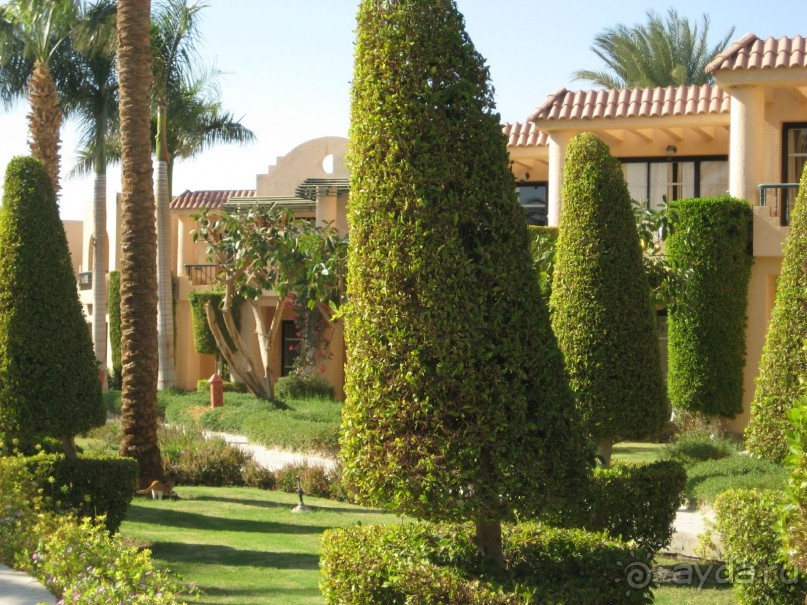 фото Ali Baba Palace