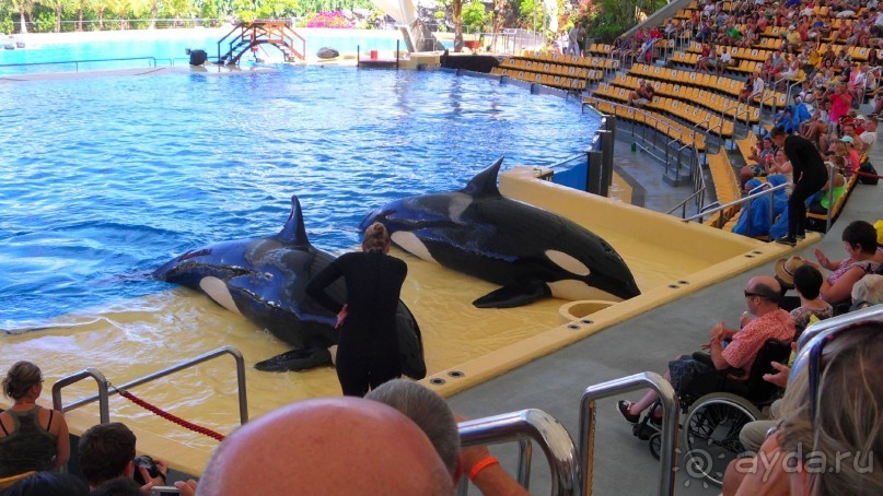 Не забываемый Лоро парк