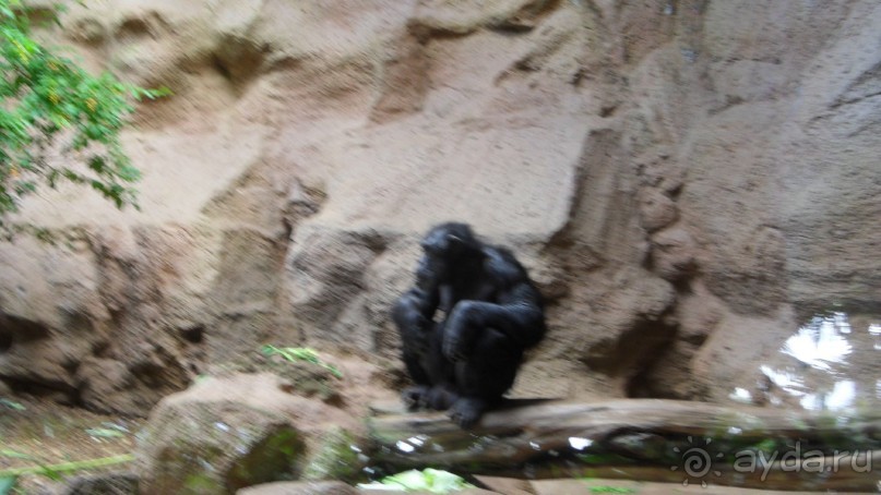 Обзорная зкскурсия по острову