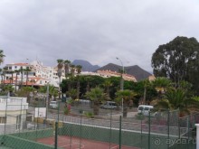 Замечательный отель, апартаменты выполнены в виде сот, как в улье