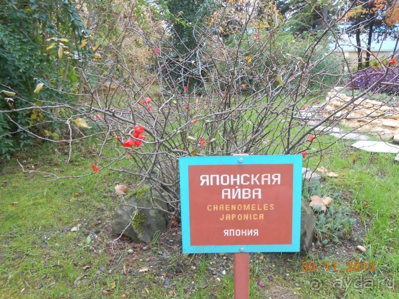 отличный отдых