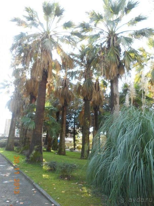 отличный отдых