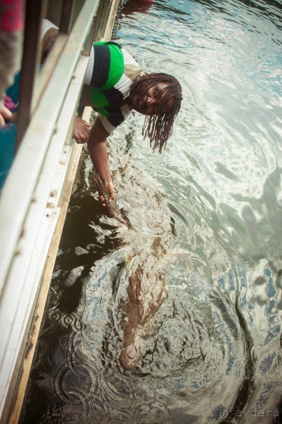 Сафари с крокодилами.