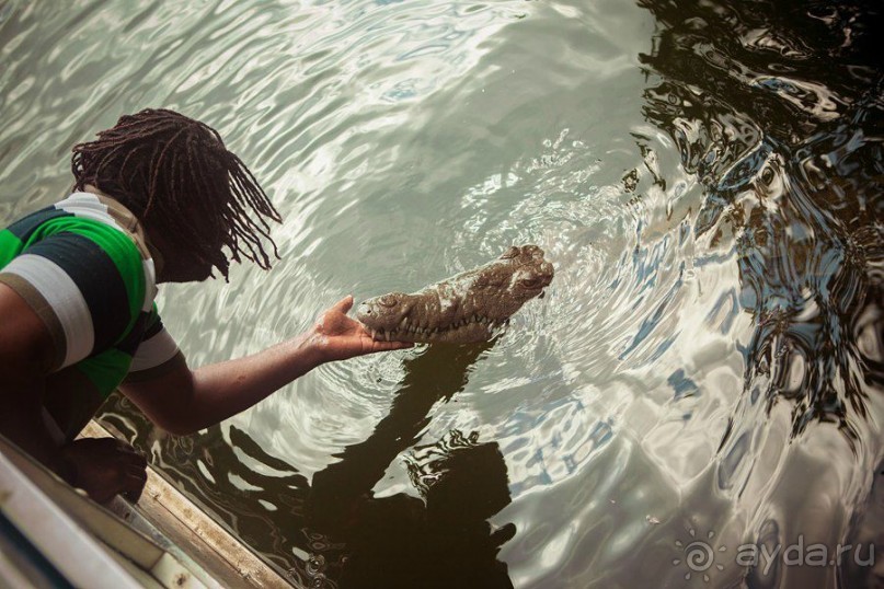 Сафари с крокодилами.
